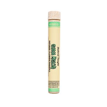 Shattered thoughts - GUAVA MELON 1.25G INFUSED FLOWER PREROLL Main Image