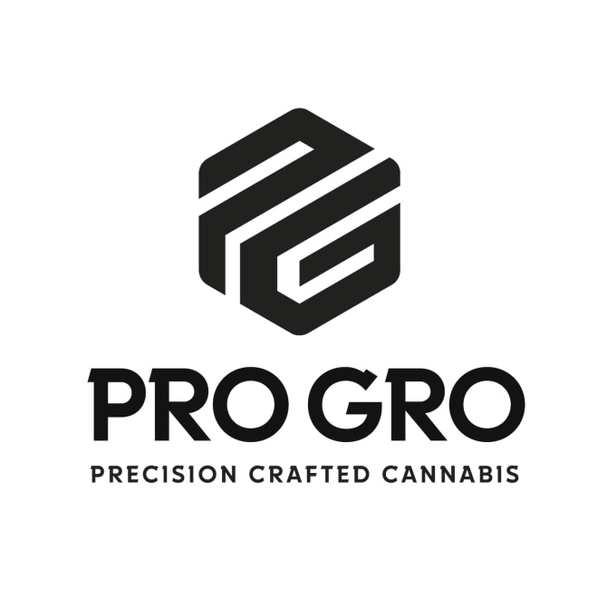 Orange Push Pop 1G LIVE ROSIN