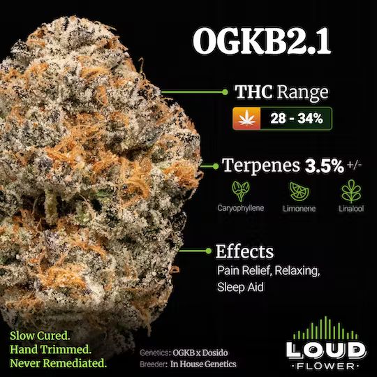 Mi loud - OGKB 2.1 14G Main Image