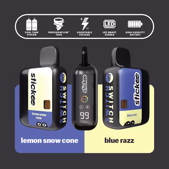BLUEE RAZZ | LEMON SNOW CONE  4G DISPOSABLE
