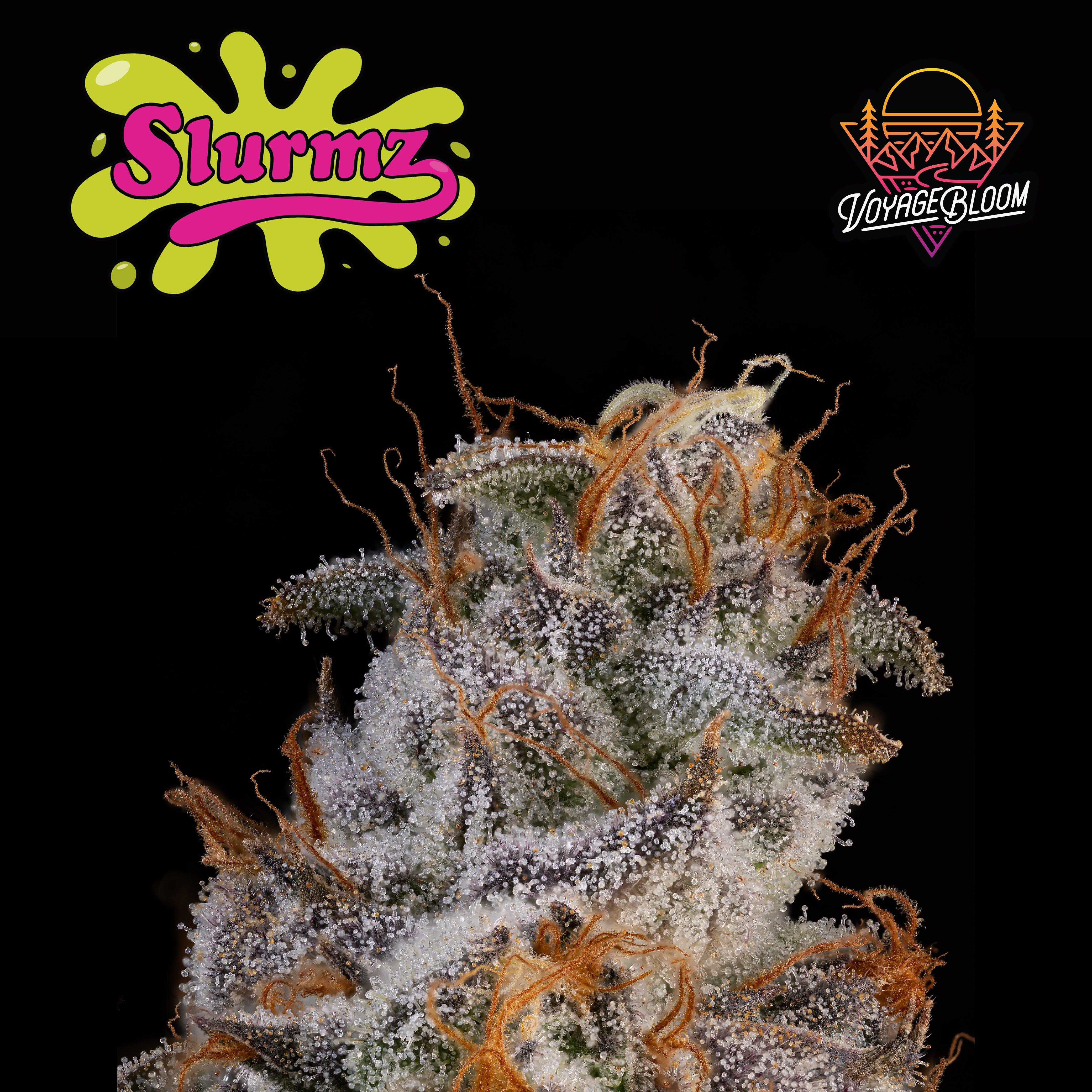 Voyage bloom - SLURMZ 14G PRE PACK Main Image