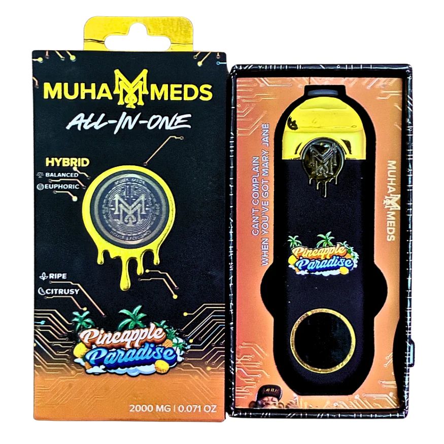 PINEAPPLE PARADISE 2G DISPOSABLE