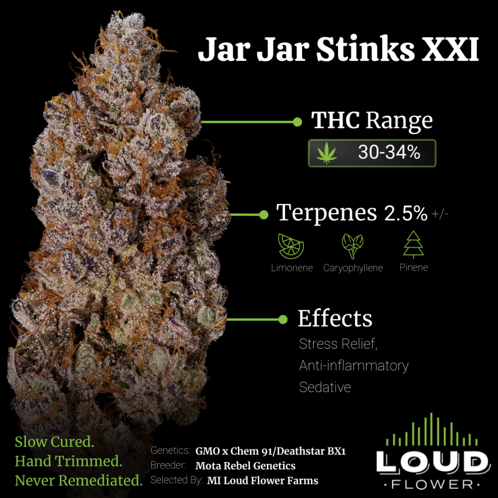 JAR JAR STINKS #21 (PRICED BY THE GRAM)