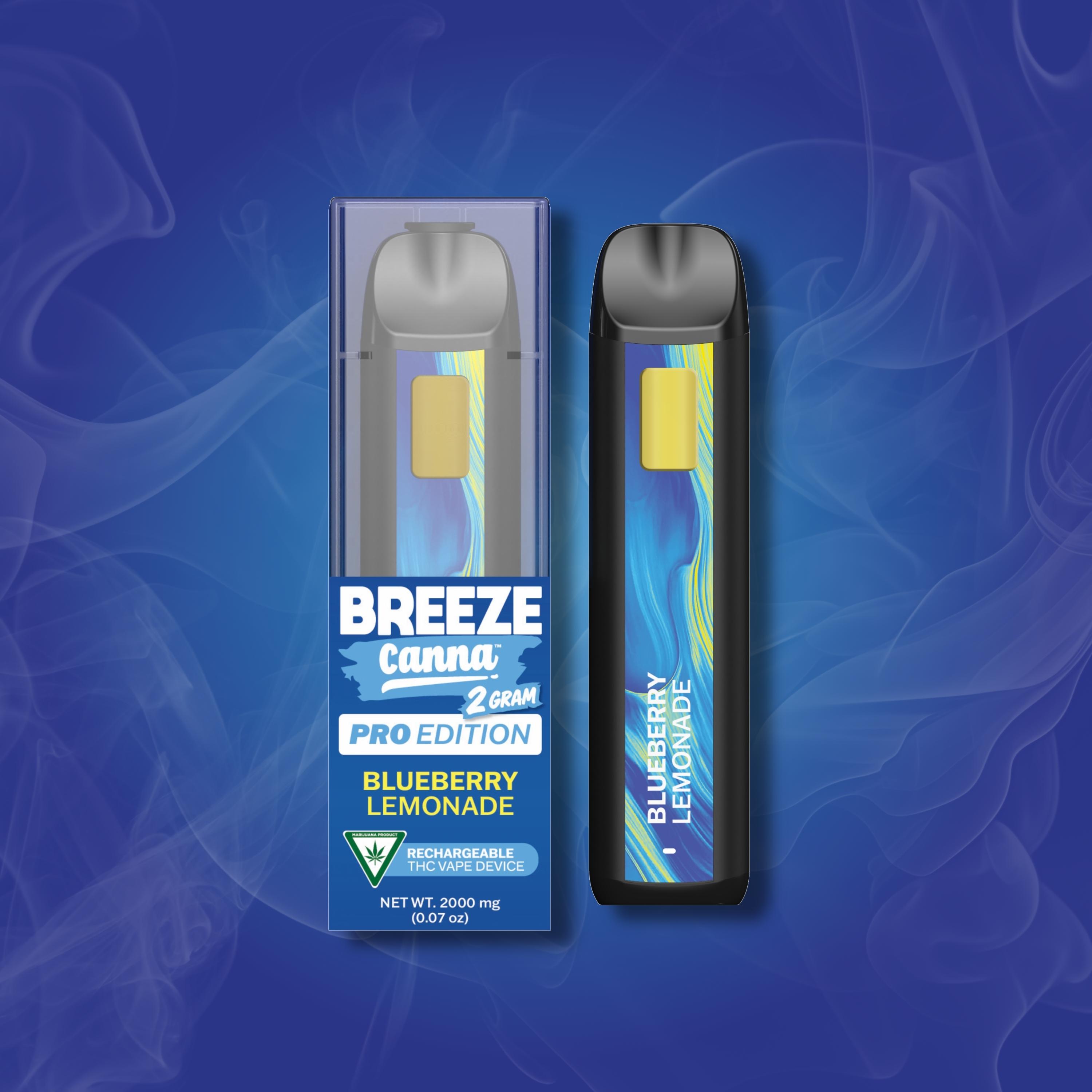 BLUEBERRY LEMONADE 2G DISPOSABLE