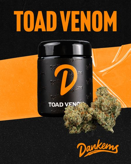 Dankems - TOAD VENOM 14G PREPACK Main Image