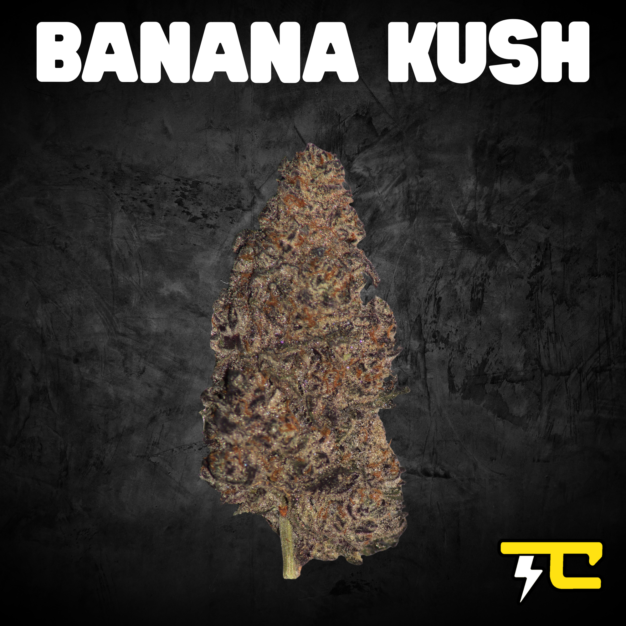 Thunder canna - BANANA KUSH 14G