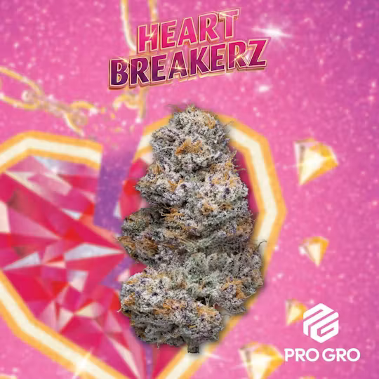 Pro gro - Heart Breakerz 14g Main Image