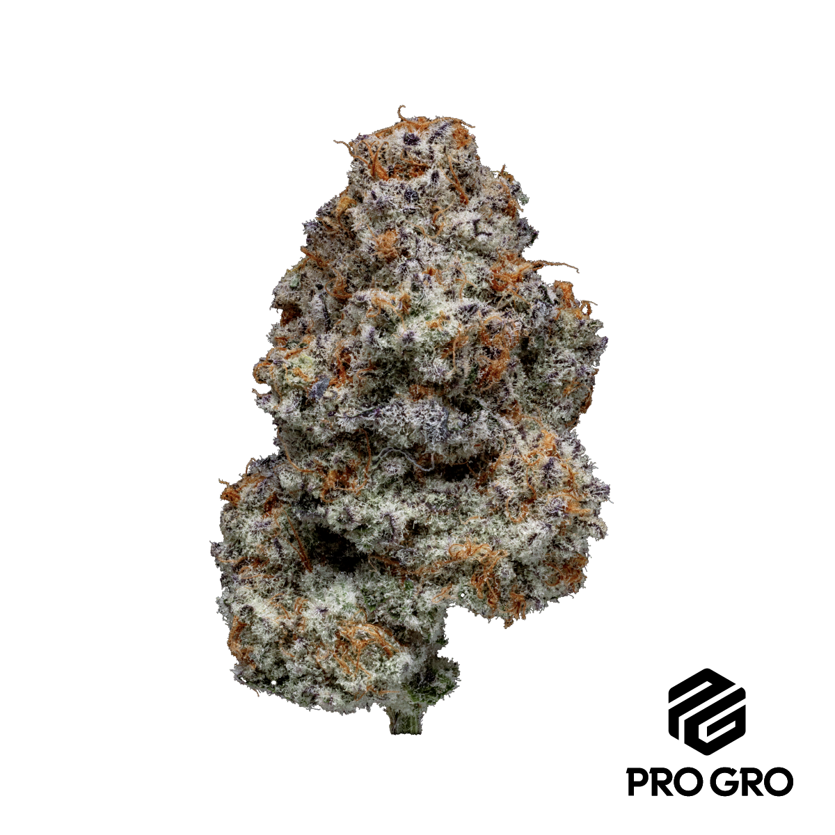 Pro gro - POISON GUSHERS 14G