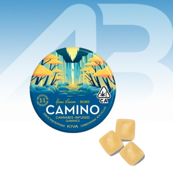 Camino - YUZU LEMON GUMMIES 1:1 THC:CBD Main Image