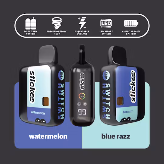 BLUE RAZZ | WATERMELON 4G DISPOSABLE