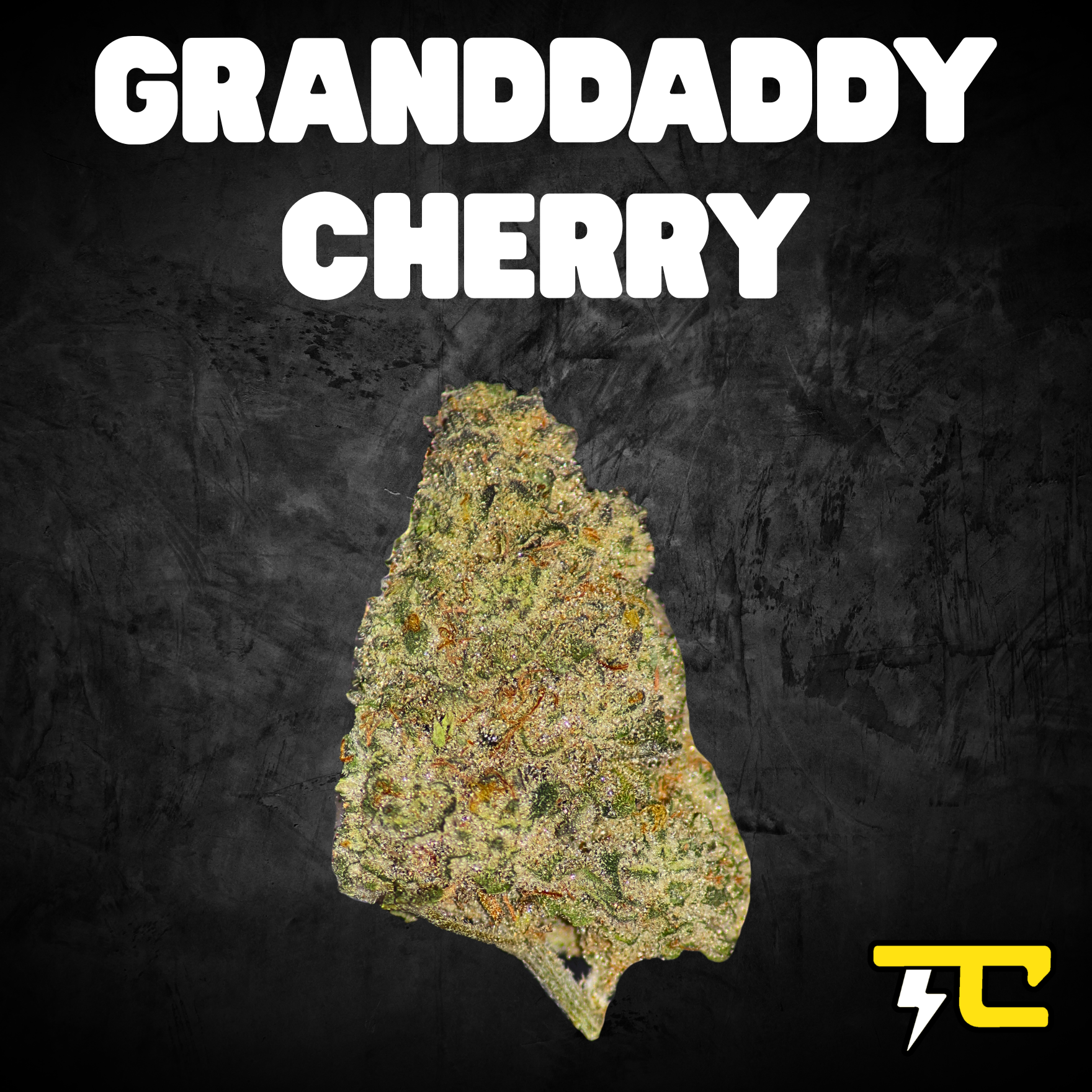 Thunder canna - GRANDDADDY CHERRY 14G