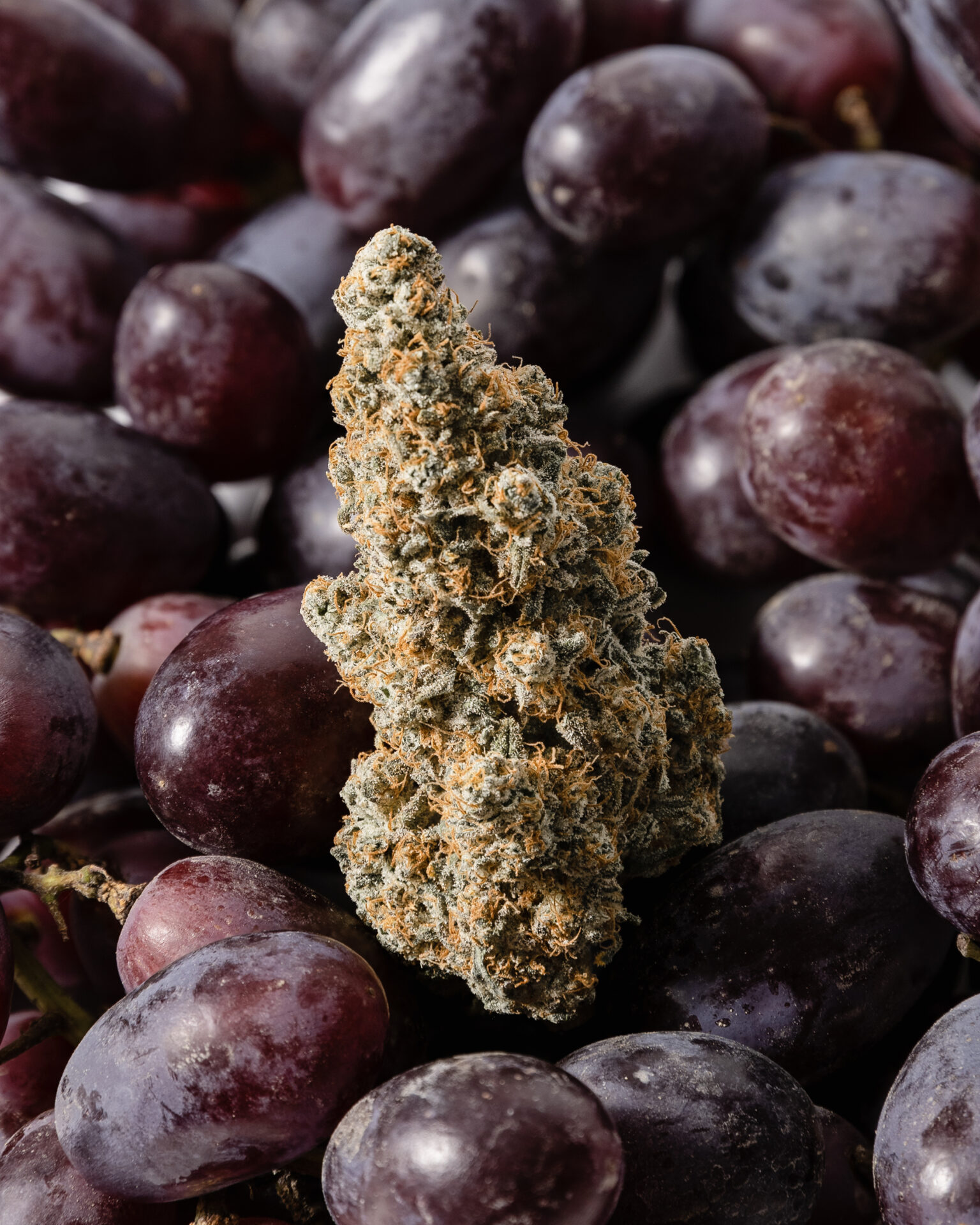 Glacier - MEMBER BERRY 3.5G PRE PACK