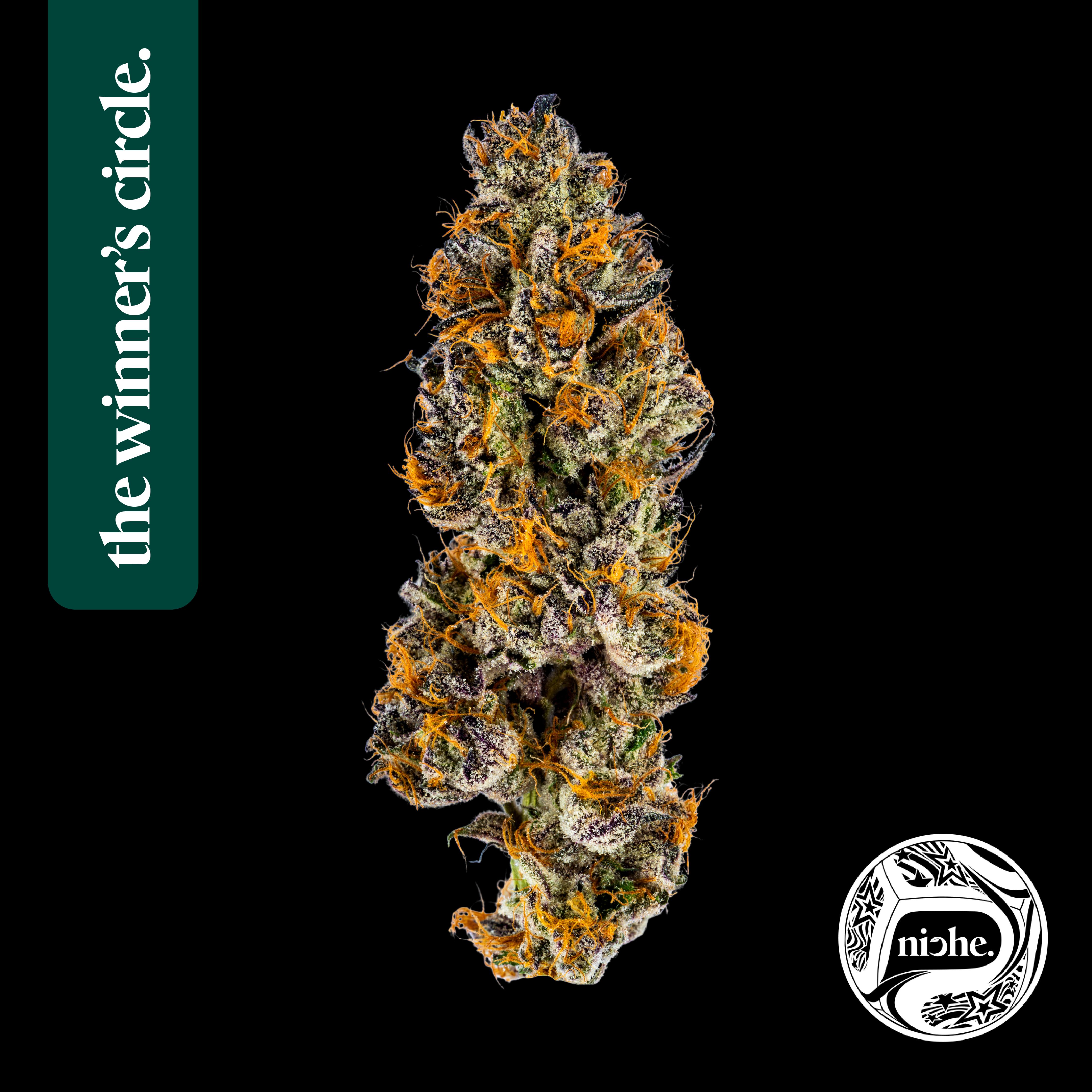ZEREAL MILK | 3.5G - 3.5g | Flower | NICHE | SilverLeaf (Rec