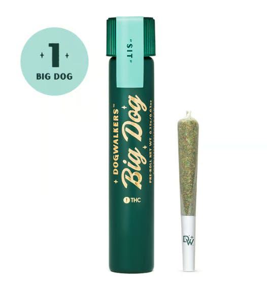 邦楽 stonedz project mega-g dogma 邦楽 stonedz project mega-g dogma 邦楽 stonedz project mega-g