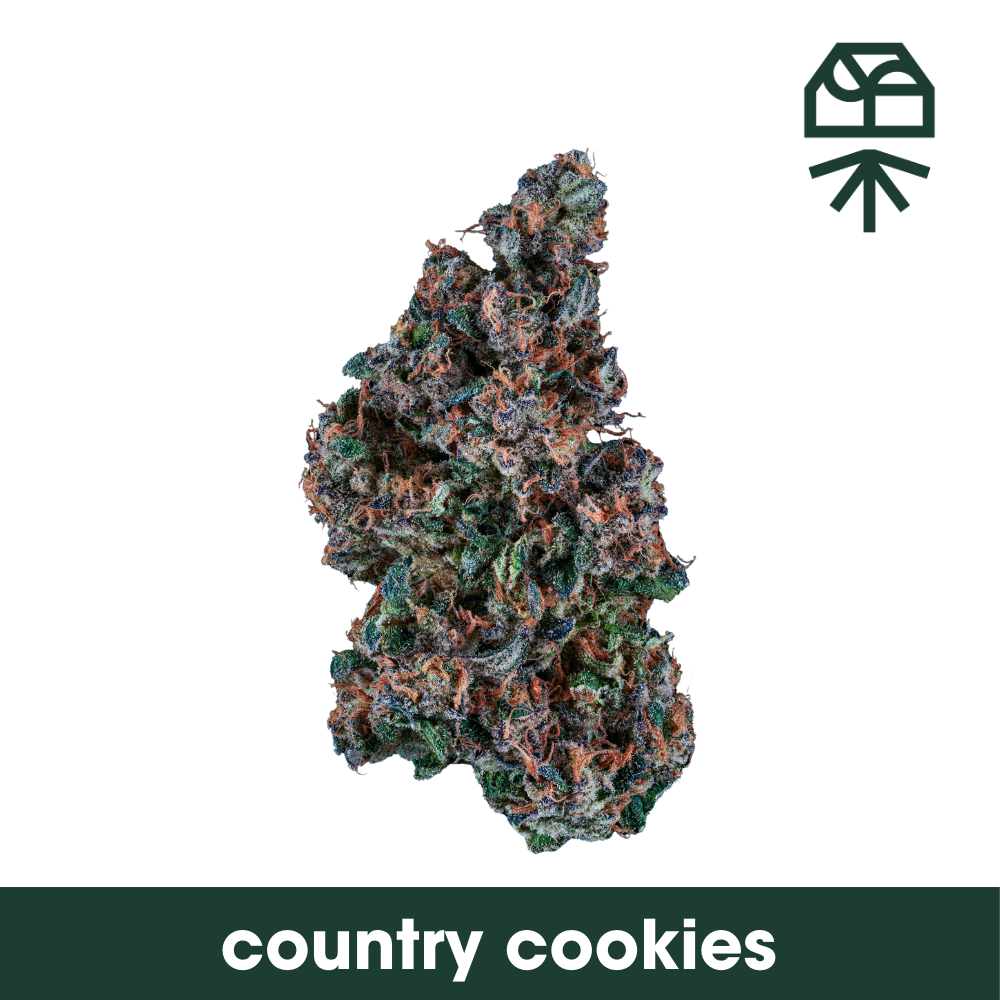 COUNTRY COOKIES | WHOLE FLOWER | 3.5G - 3.5g | Flower | GRASSROOTS