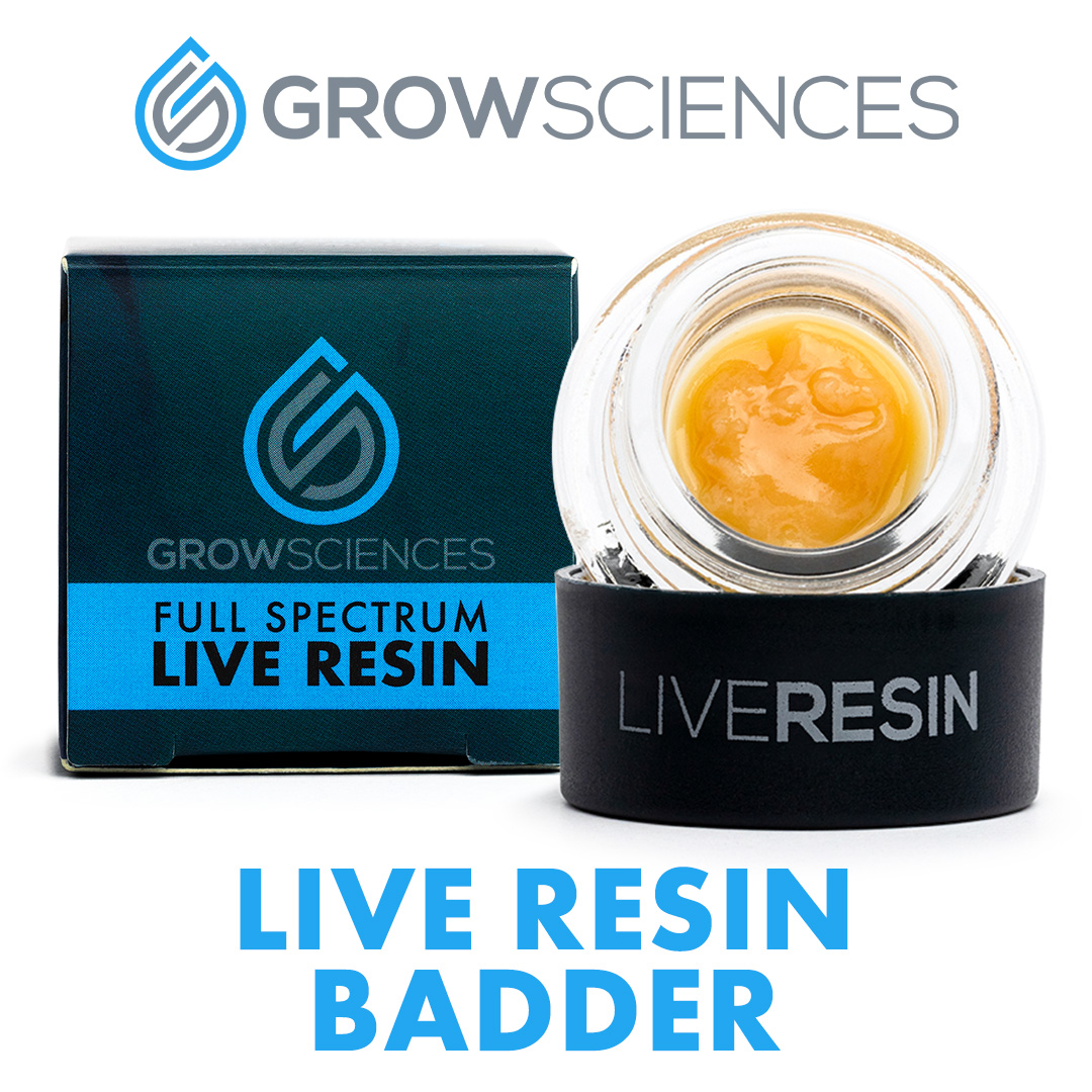 PINEAPPLE FRUZ LIVE BADDER 1G
