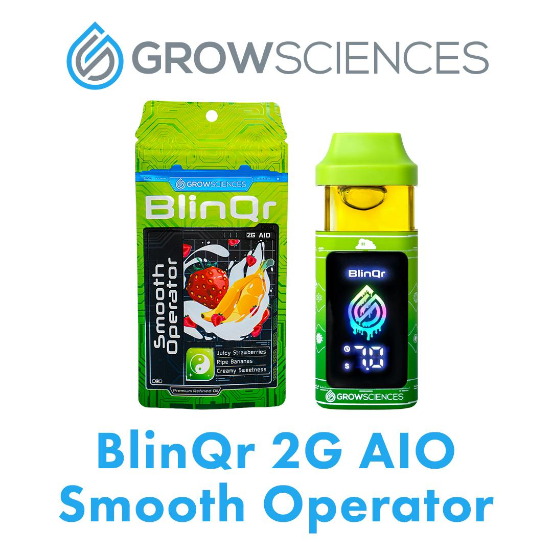 BLINQR SMOOTH OPERATOR AIO 2G