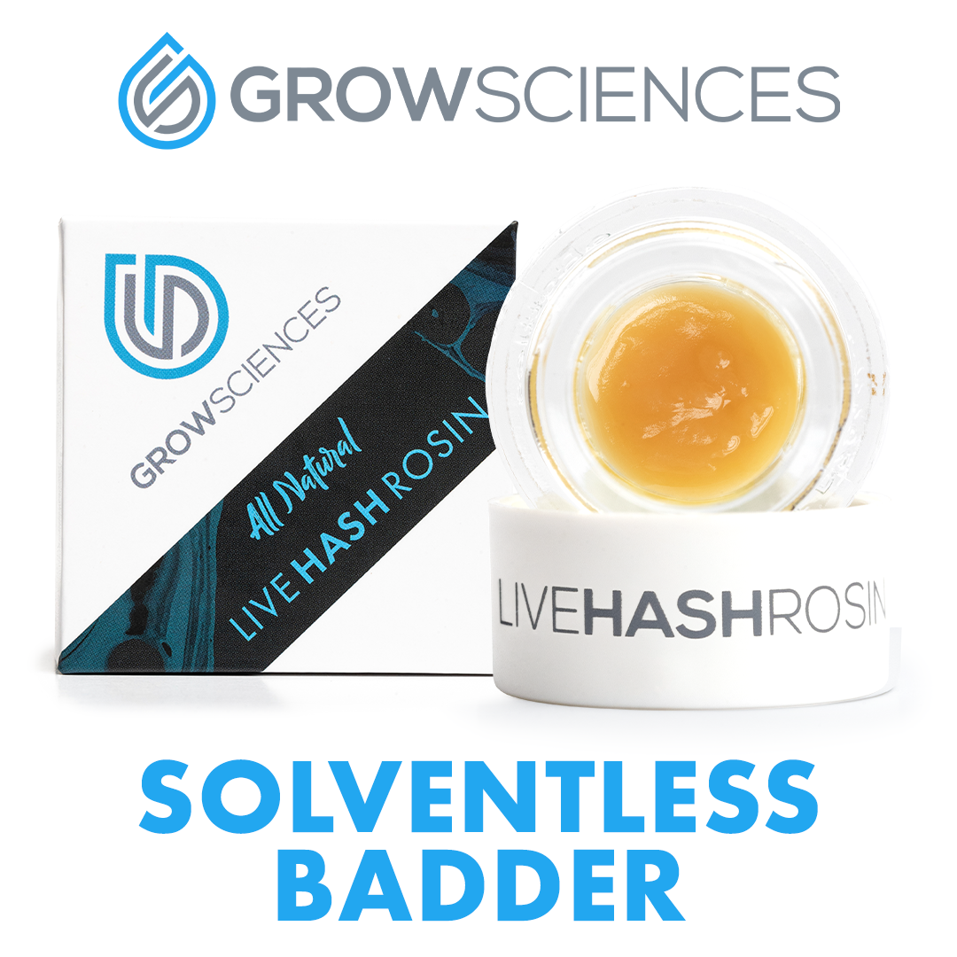 PLASTICIZER LIVE HASH ROSIN 1G