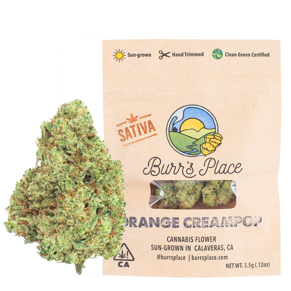 Burr's place - 1/8 OZ- ORANGE CREAMPOP- SUN GROWN