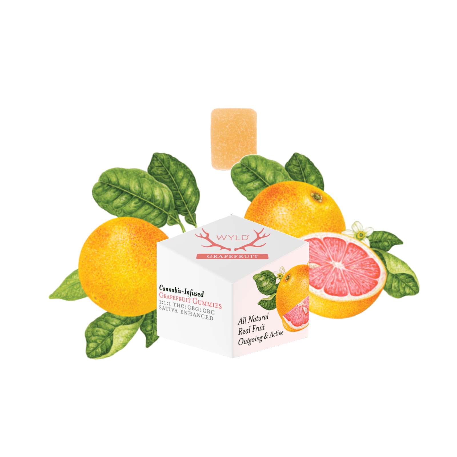 10CT- GRAPEFRUIT- 1:1:1- THC:CBG:CBC- GUMMIES