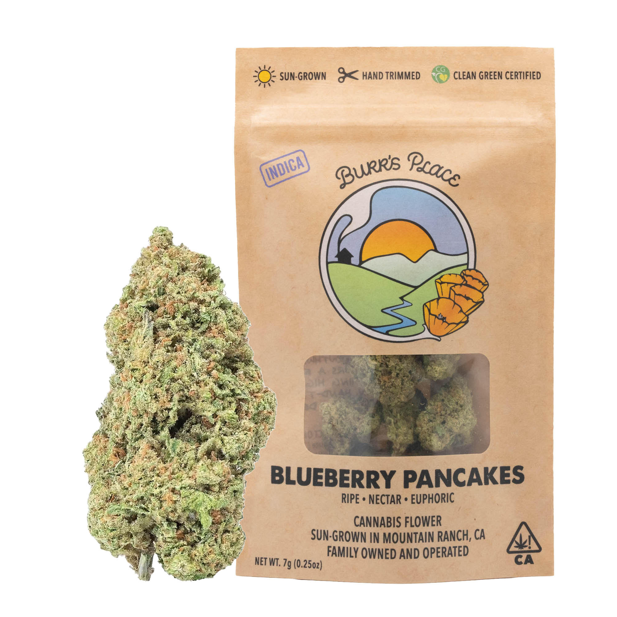 Burr's place - 1/4 OZ- BLUEBERRY PANCAKES- SUN GROWN Main Image