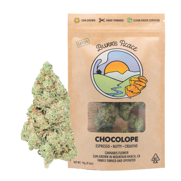 Burr's place - 1/2 OZ- CHOCOLOPE- SUN GROWN