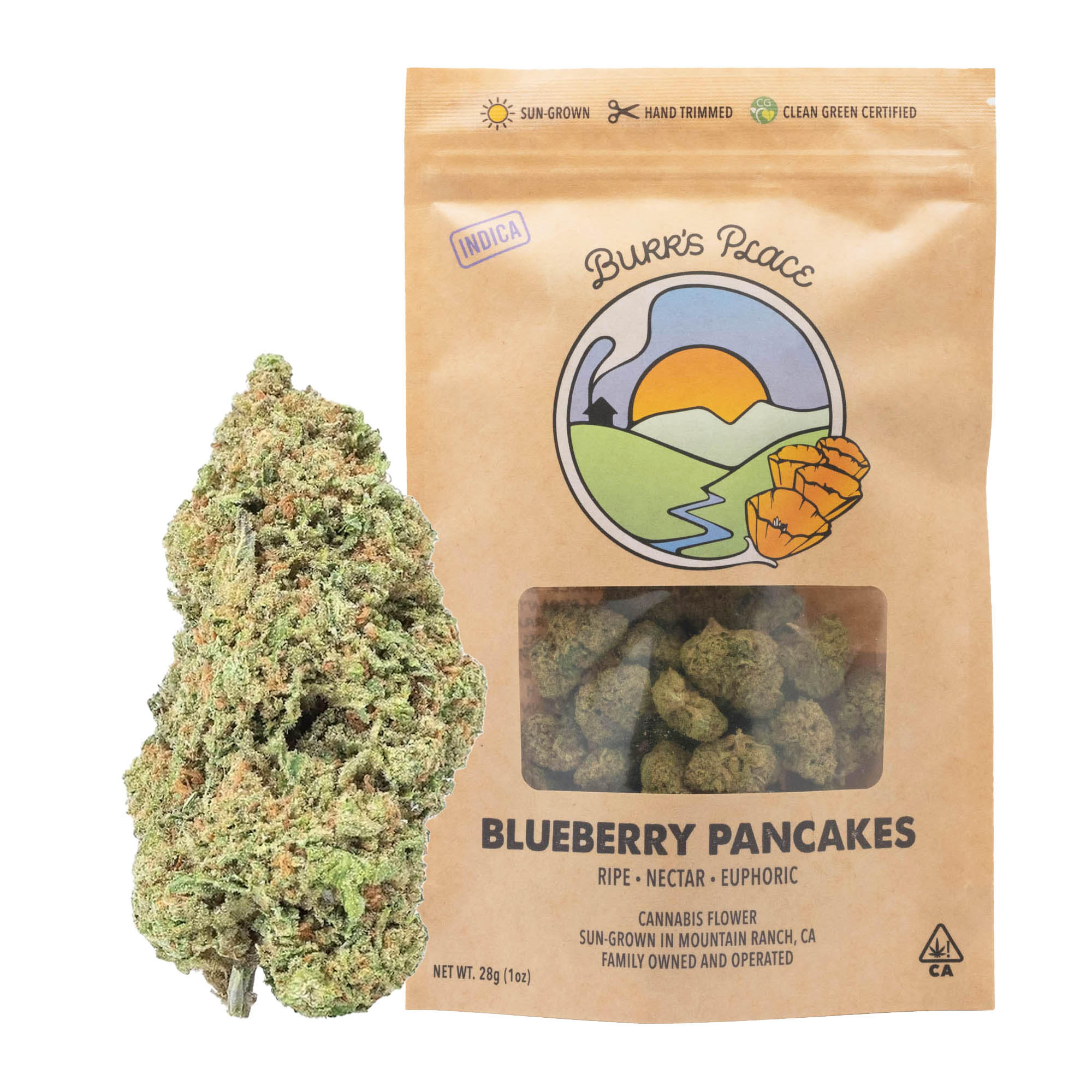 1 OZ- BLUEBERRY PANCAKES- SUN GROWN