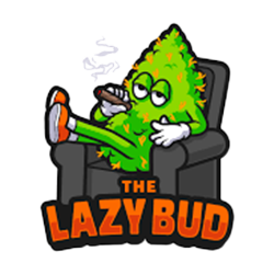 The lazy bud - 1G- BLUE DREAM- INFUSED