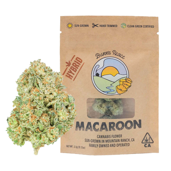 1/8 OZ- MACAROON- SUN GROWN