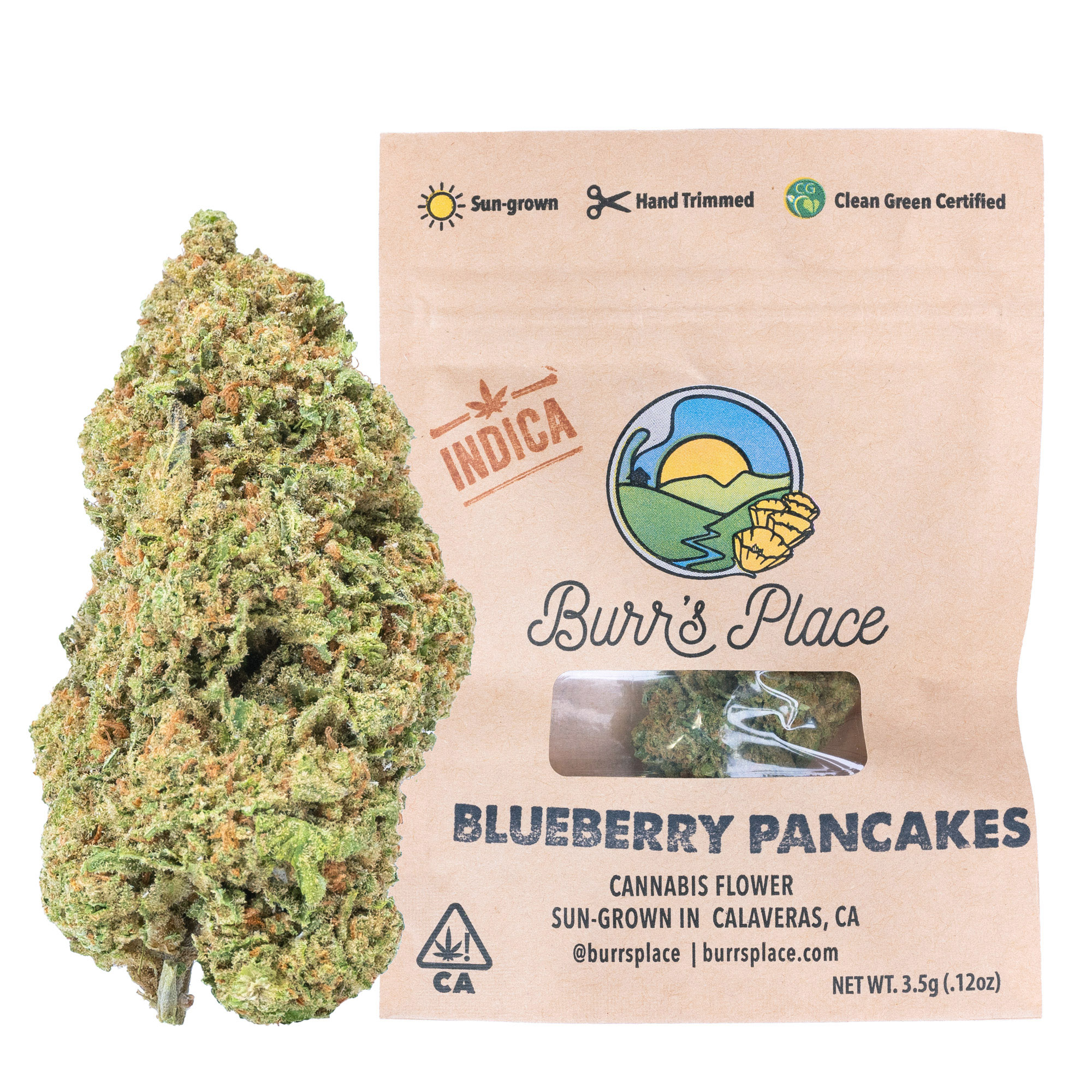 1/8 OZ - BLUEBERRY PANCAKES - SUN GROWN