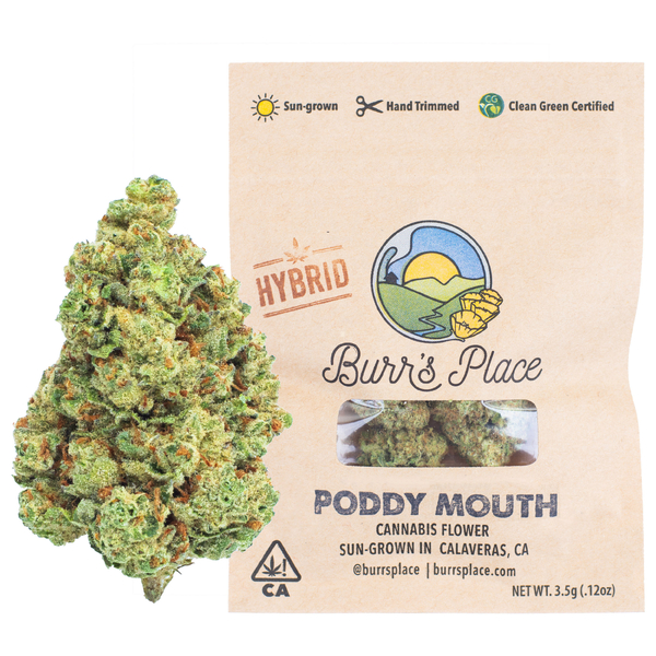 Burr's place - 1/8 OZ - PODDY MOUTH- SUN GROWN