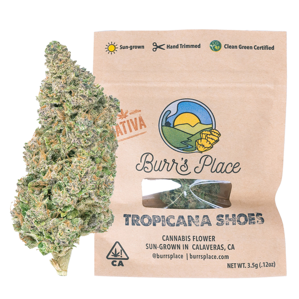 1/8 OZ- TROPICANA SHOES- SUN GROWN