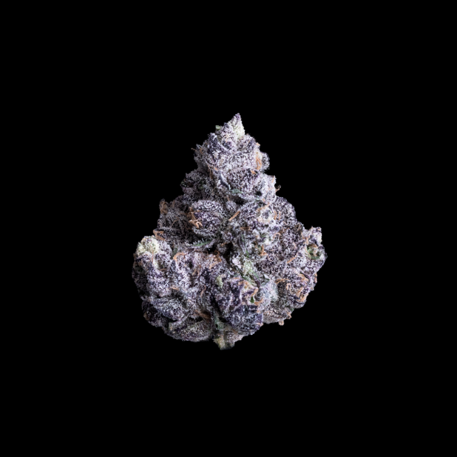 1/8 OZ- PRIZM- PREMIUM INDOOR