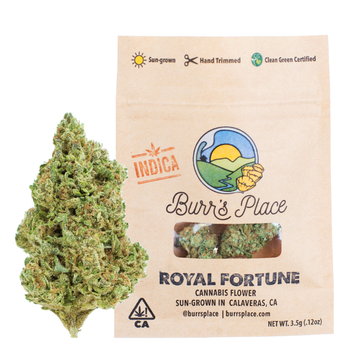 Burr's place - 1/8 OZ- ROYAL FORTUNE- SUN GROWN Main Image