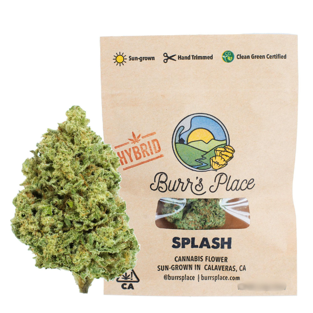 Burr's place - 1/2 OZ- SPLASH- SUN GROWN Main Image
