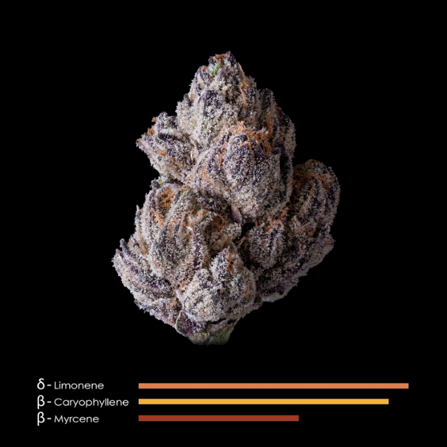 1/8 OZ- LIPSMACKERZ- PREMIUM INDOOR