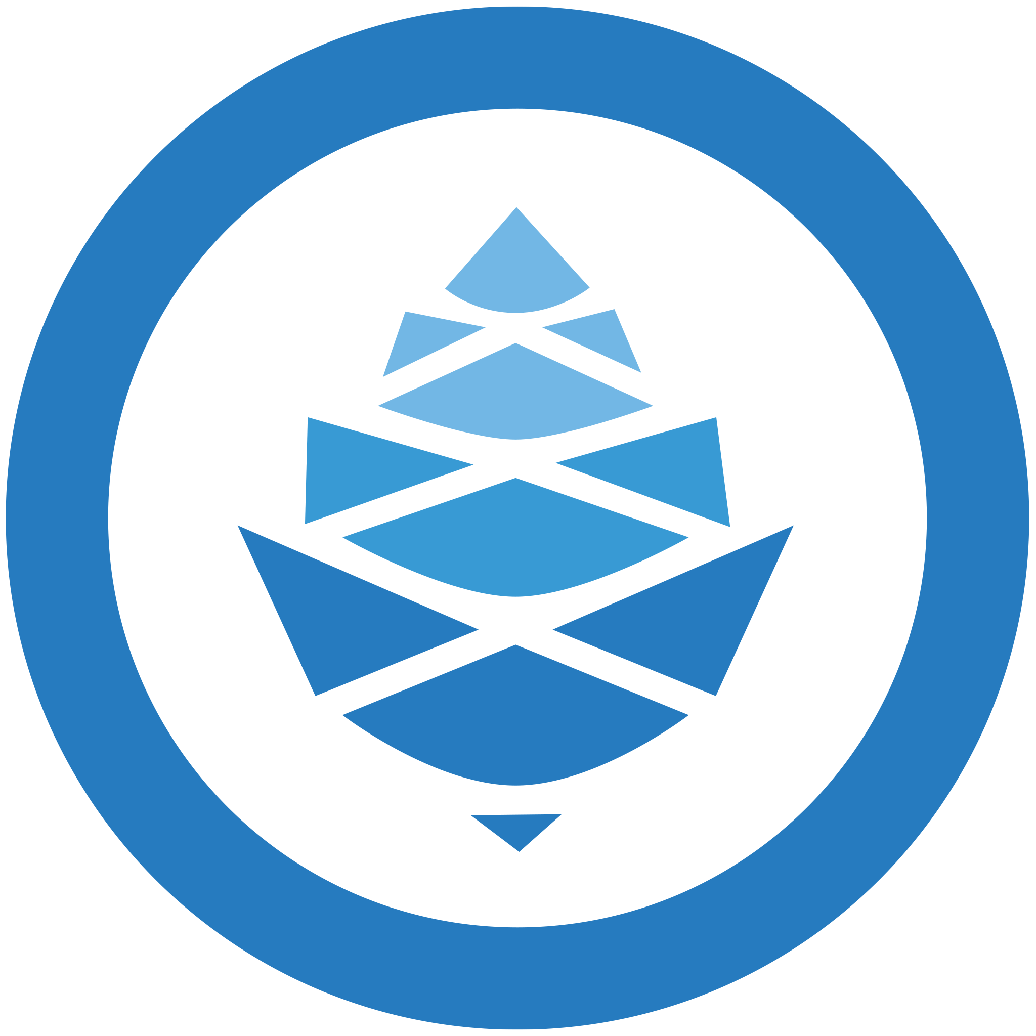 Cannablue - 00- TOTE BAG- SO LOCAL