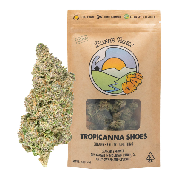 1/2 OZ- TROPICANA SHOES- SUN GROWN