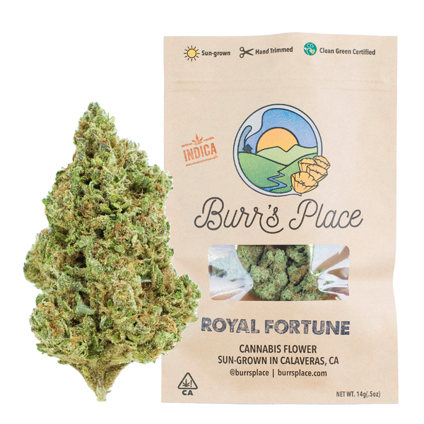 1/2 OZ- ROYAL FORTUNE- SUN GROWN