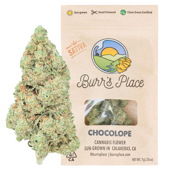 1/4 OZ- CHOCOLOPE- SUN GROWN