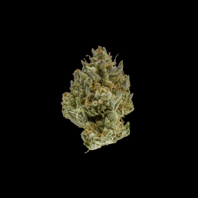 1/8OZ - BLUEBERRY ZKZ - PREMIUM INDOOR