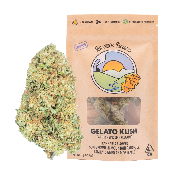 1/4 OZ- GELATO KUSH- SUN GROWN