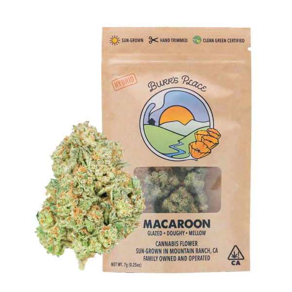 Burr's place - 1/4 OZ- MACAROON- SUN GROWN Main Image