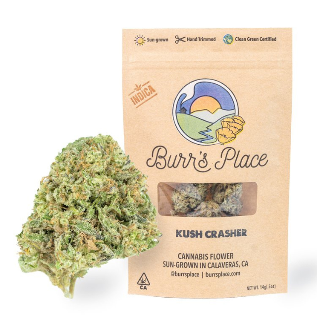 Burr's place - 1/2 OZ- KUSH CRASHER- SUN GROWN