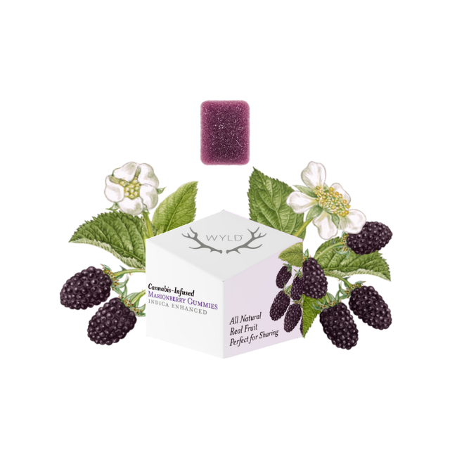 Wyld - 10CT- MARIONBERRY- GUMMIES