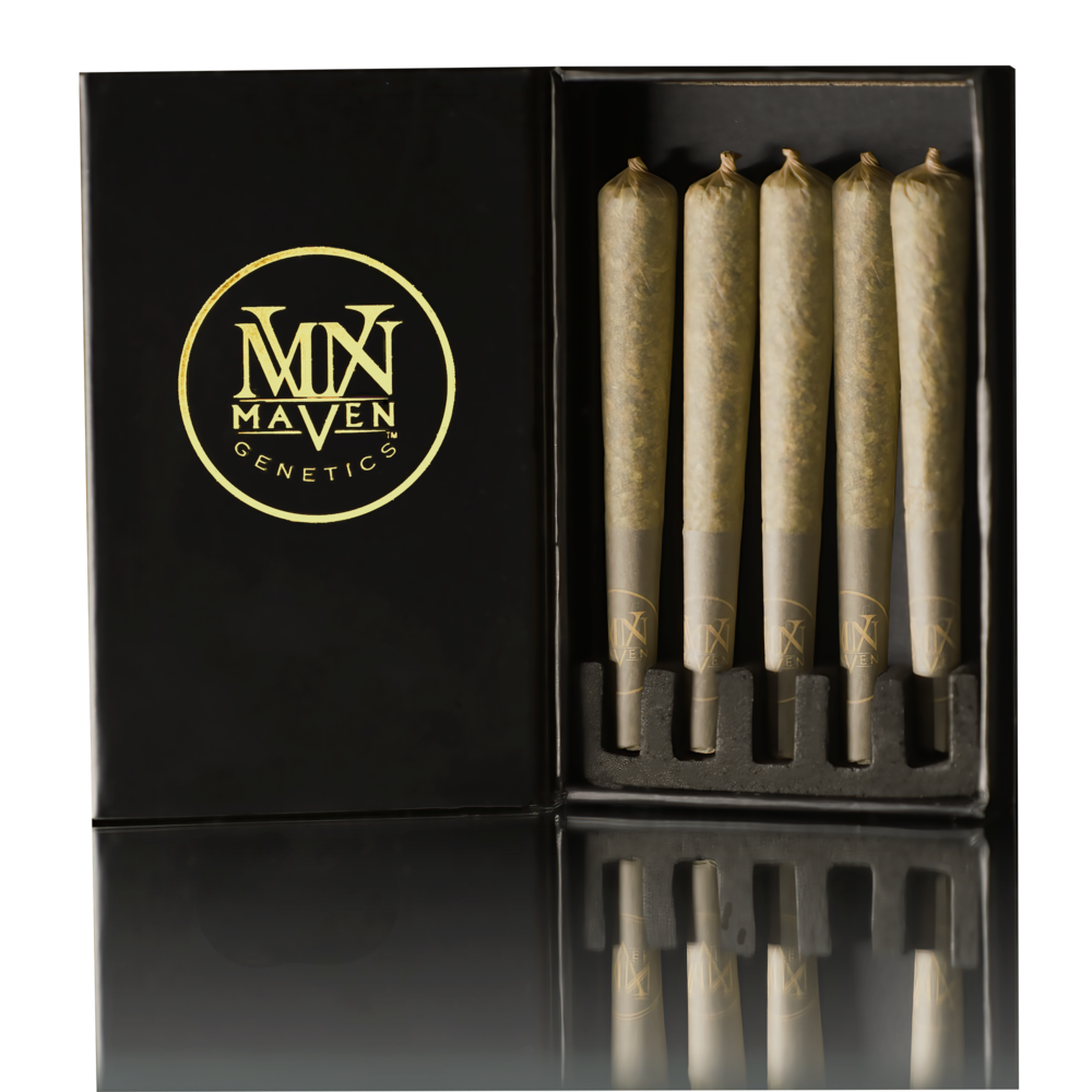 Maven - 5PK- 0.5G- KEY LIME JACK- PRE ROLLS Main Image
