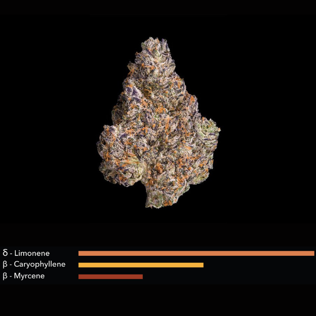 1/8 OZ- CHROMA- PREMIUM INDOOR