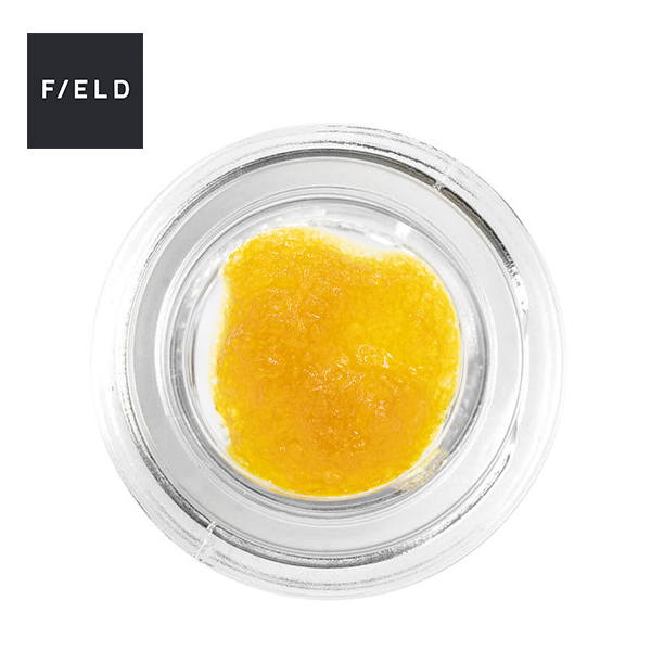 GARLIC STARSHIP LIVE RESIN 1G - 1 GRAMS