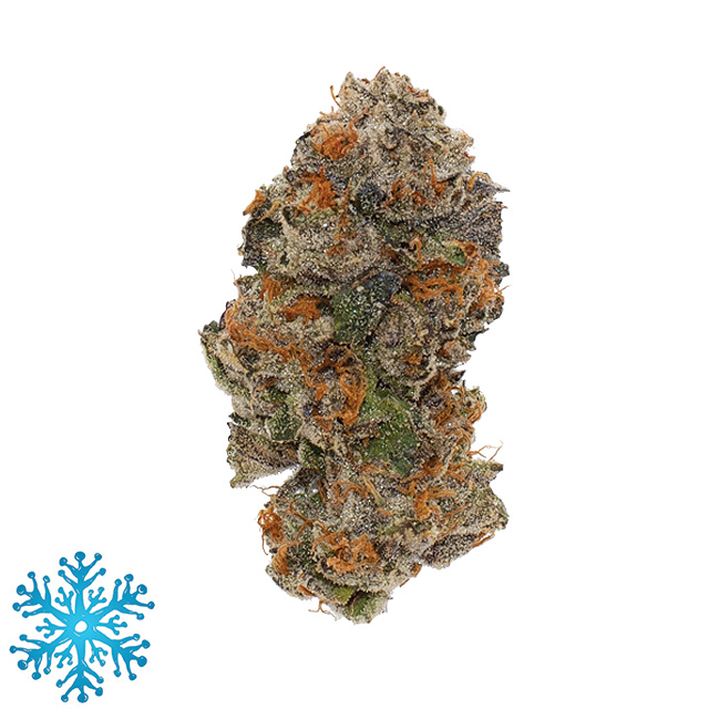GUAVA GELATO