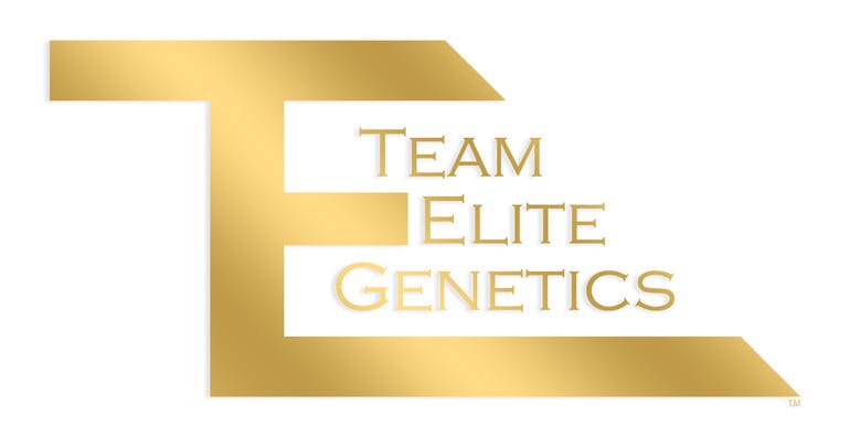 Team Elite Genetics: Pineapple Cup